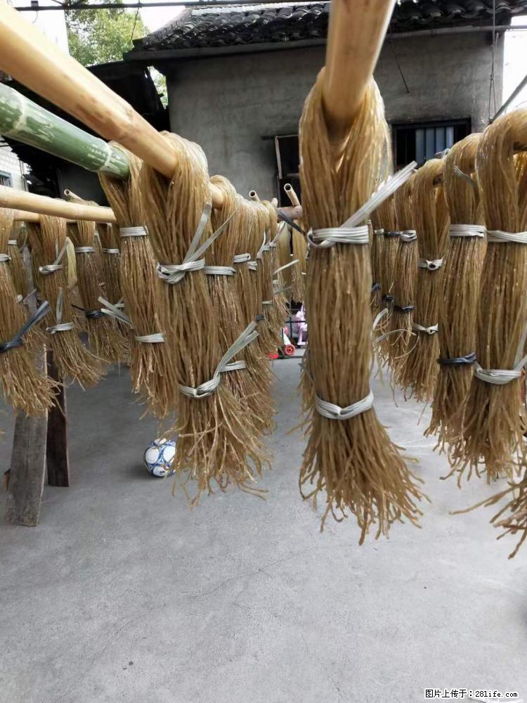 【灌阳正宗红薯粉】美女家里自己做的，干净卫生，假一赔十，价格合理，抢购电话：13737312895 - 美食天地 - 忻州生活社区 - 忻州28生活网 xinzhou.28life.net