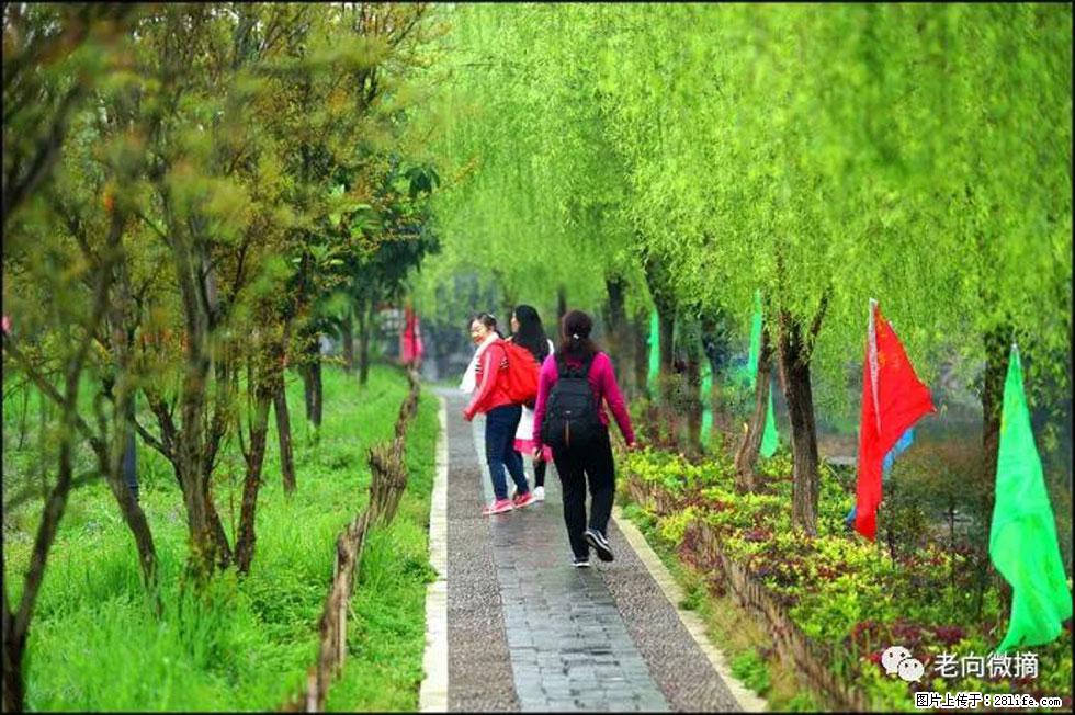 【春天，广西桂林灌阳县向您发出邀请！】江口老街又逢春 - 游山玩水 - 忻州生活社区 - 忻州28生活网 xinzhou.28life.net
