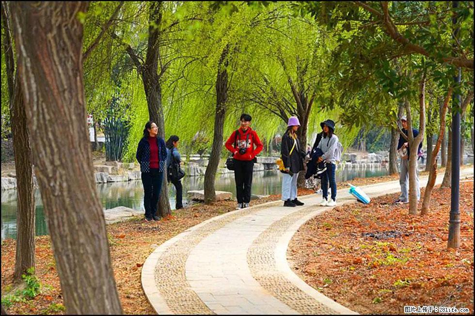 【春天，广西桂林灌阳县向您发出邀请！】江口老街又逢春 - 游山玩水 - 忻州生活社区 - 忻州28生活网 xinzhou.28life.net