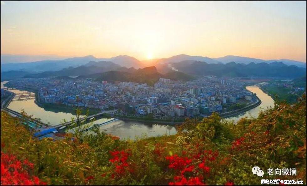 【春天，广西桂林灌阳县向您发出邀请！】登麒麟山，相约映山红 - 游山玩水 - 忻州生活社区 - 忻州28生活网 xinzhou.28life.net