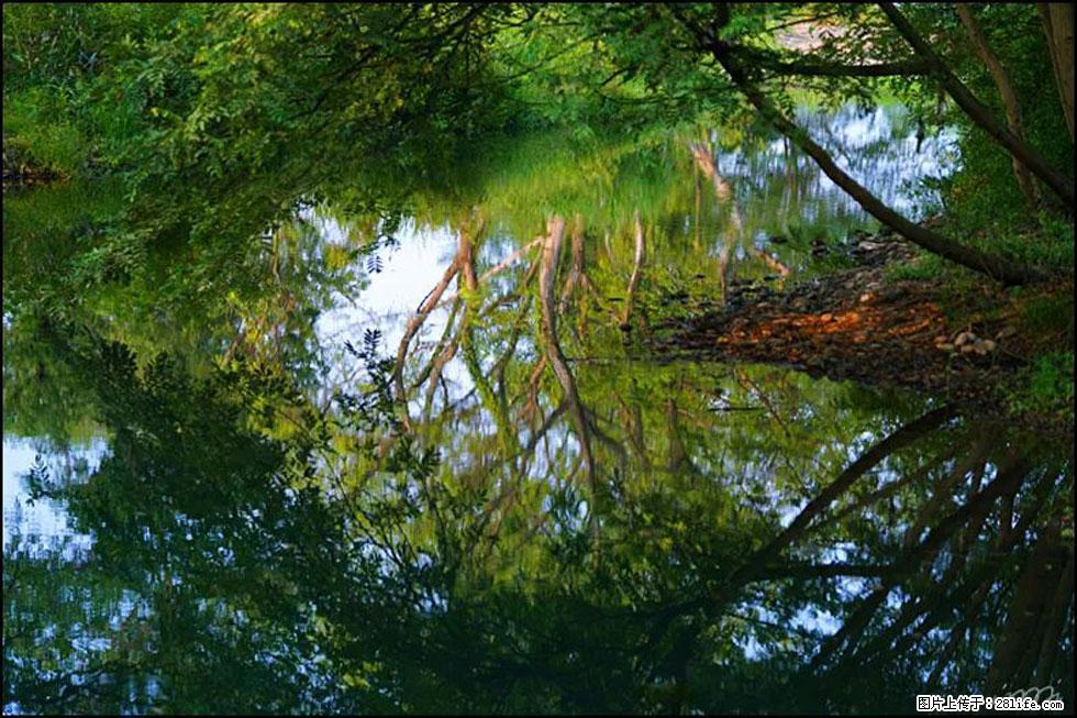 【春天,广西桂林灌阳县向您发出邀请!】熊家寨湿地公园 - 游山玩水 - 忻州生活社区 - 忻州28生活网 xinzhou.28life.net