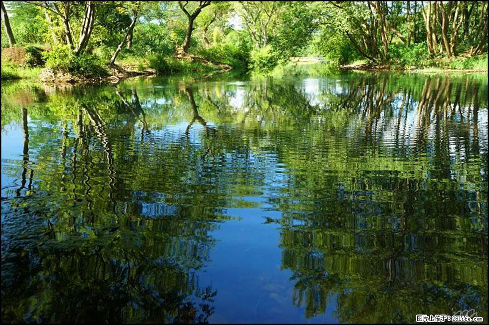 【春天,广西桂林灌阳县向您发出邀请!】熊家寨湿地公园 - 游山玩水 - 忻州生活社区 - 忻州28生活网 xinzhou.28life.net