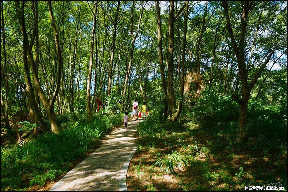 【春天,广西桂林灌阳县向您发出邀请!】熊家寨湿地公园 - 游山玩水 - 忻州生活社区 - 忻州28生活网 xinzhou.28life.net
