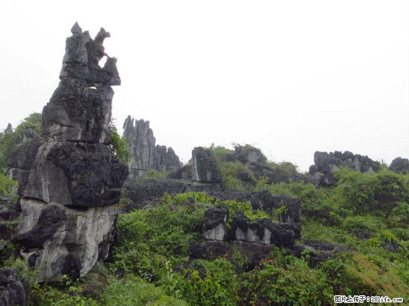 桂林旅游名城景点：灌阳文市石林 - 游山玩水 - 忻州生活社区 - 忻州28生活网 xinzhou.28life.net