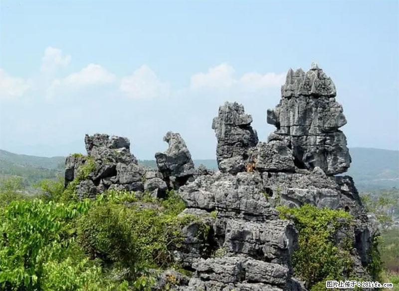 桂林旅游名城景点：灌阳文市石林 - 游山玩水 - 忻州生活社区 - 忻州28生活网 xinzhou.28life.net