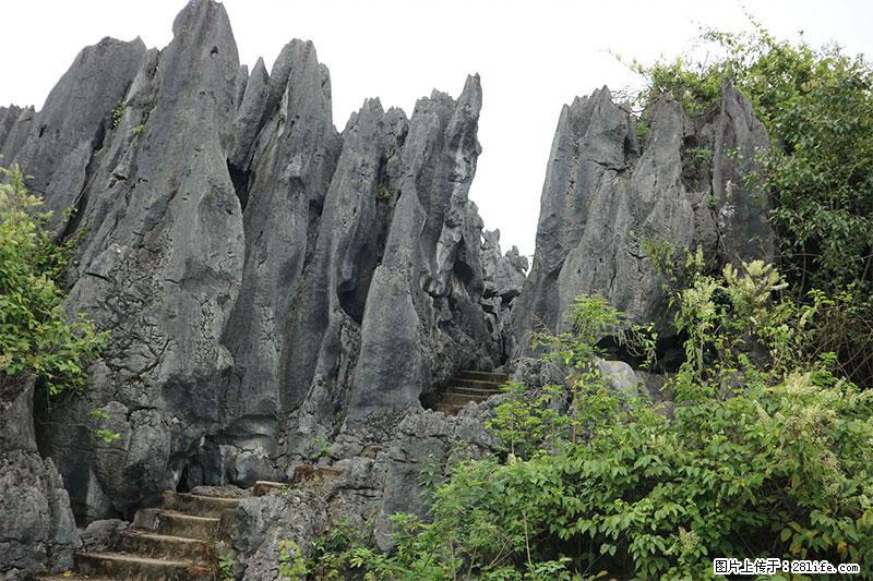 桂林旅游名城景点：灌阳文市石林 - 游山玩水 - 忻州生活社区 - 忻州28生活网 xinzhou.28life.net