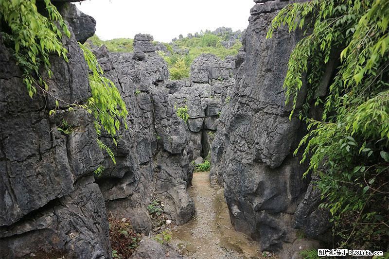 桂林旅游名城景点：灌阳文市石林 - 游山玩水 - 忻州生活社区 - 忻州28生活网 xinzhou.28life.net