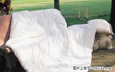被子有异味？只要这样做，比晒太阳还强100倍！ - 家居生活 - 忻州生活社区 - 忻州28生活网 xinzhou.28life.net
