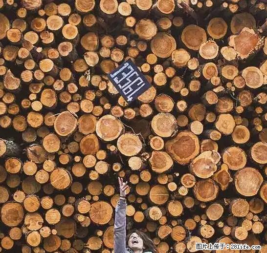 辞掉工作周游世界？现在他们在洗厕所…… - 游山玩水 - 忻州生活社区 - 忻州28生活网 xinzhou.28life.net