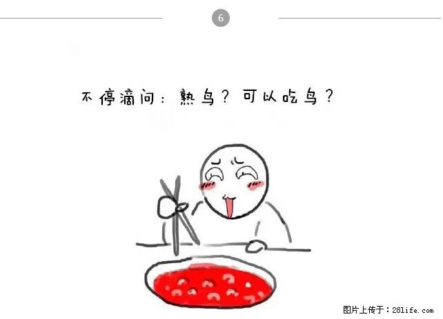 千万不要和这9种哈卵一起吃火锅！ - 美食天地 - 忻州生活社区 - 忻州28生活网 xinzhou.28life.net