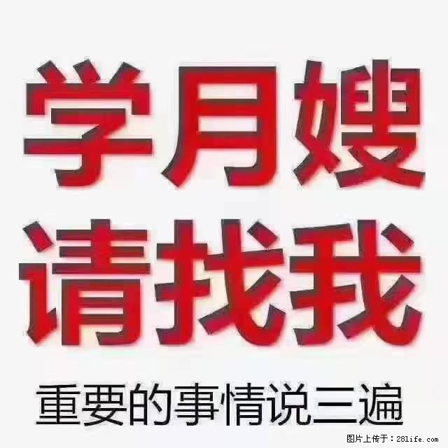 【招聘】月嫂，上海徐汇区 - 职场交流 - 忻州生活社区 - 忻州28生活网 xinzhou.28life.net