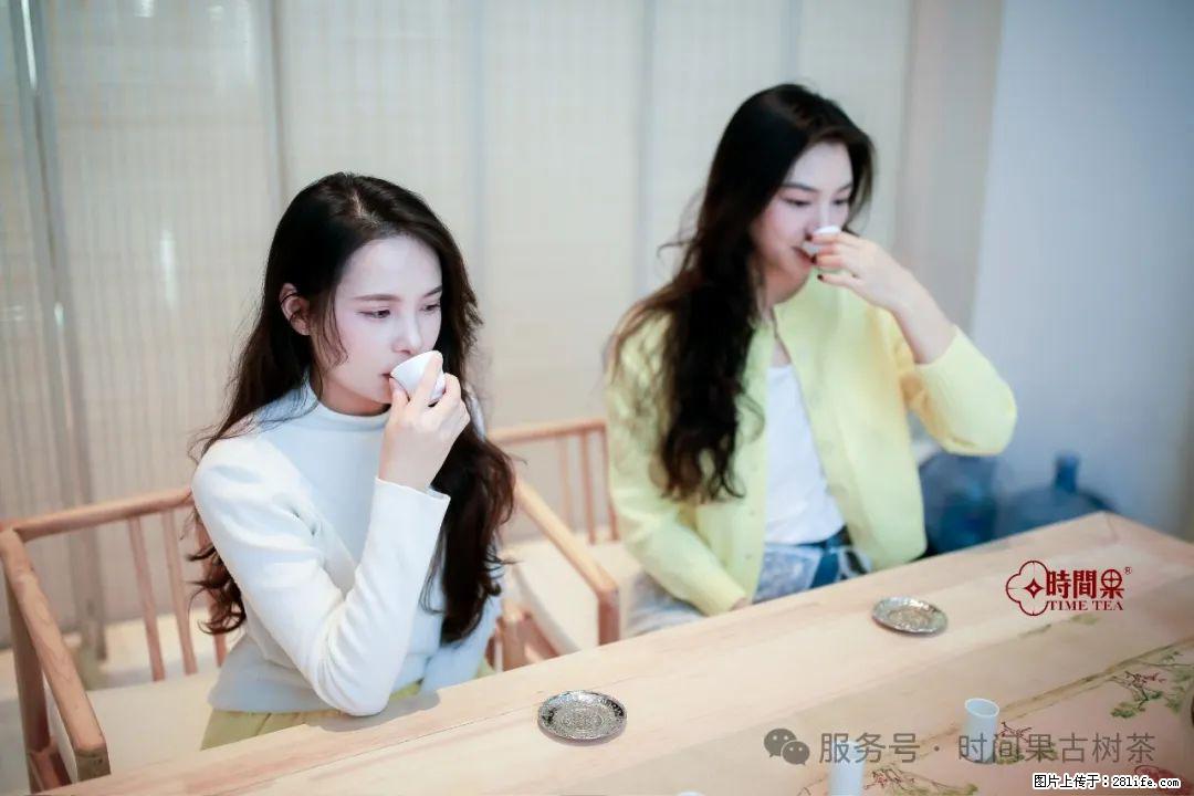 时间果百年古树龙珠普洱生茶 - 购物交流 - 忻州生活社区 - 忻州28生活网 xinzhou.28life.net