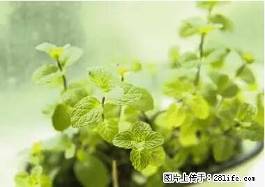 晕车、脚气、牙齿变黄、皮肤粗糙？学会这些三分钟搞定！ - 忻州生活资讯 - 忻州28生活网 xinzhou.28life.net