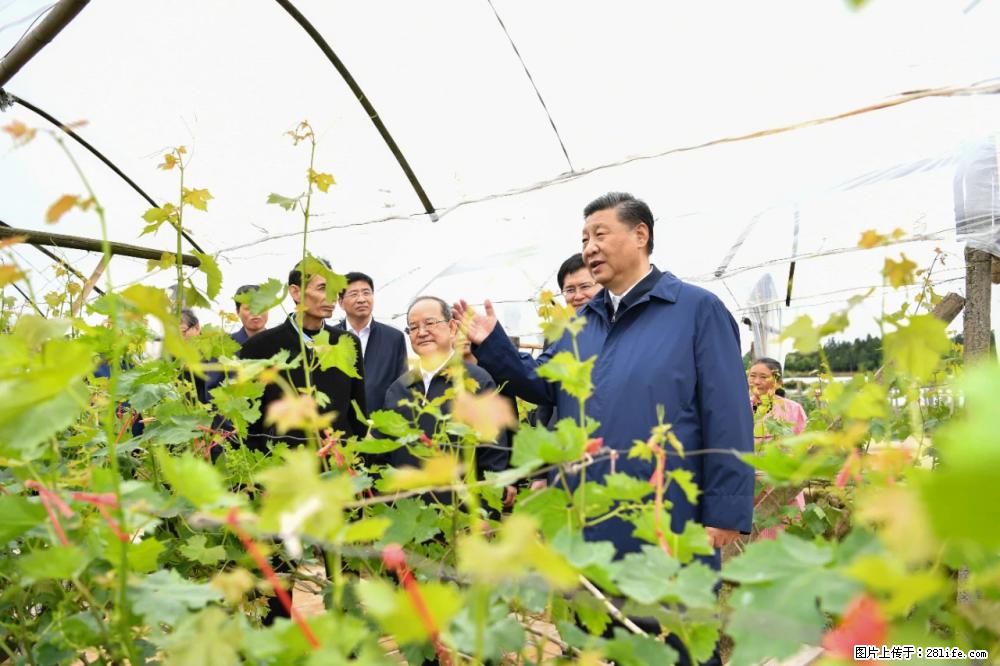 习近平赴广西考察调研 - 忻州生活资讯 - 忻州28生活网 xinzhou.28life.net