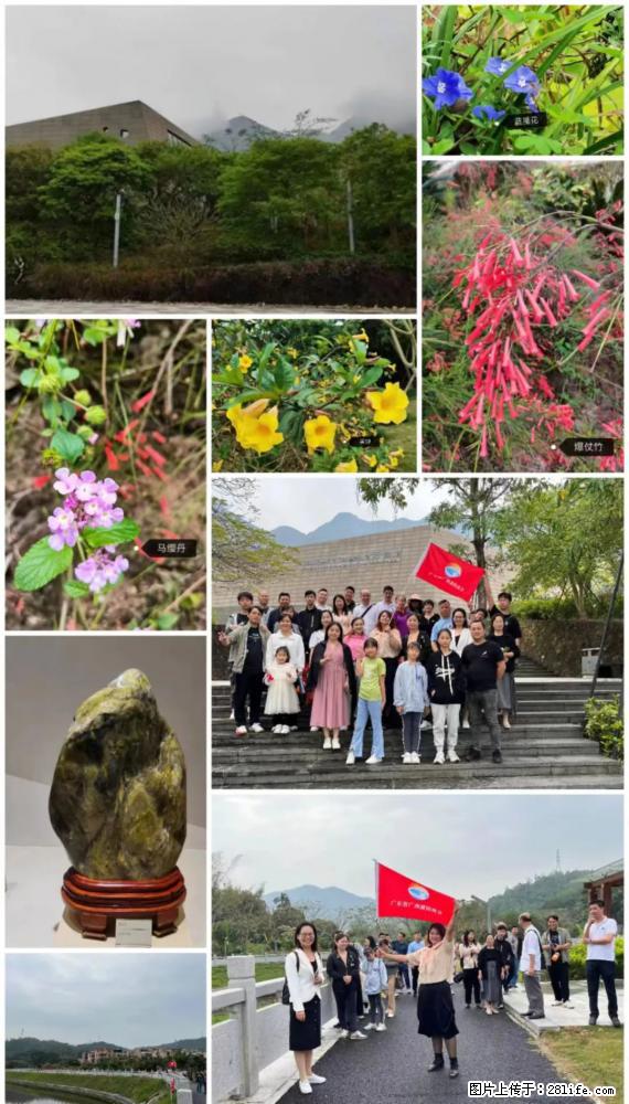 “粤灌文化 美好生活”油茶文化主题活动在广东深圳成功举办 - 忻州生活资讯 - 忻州28生活网 xinzhou.28life.net