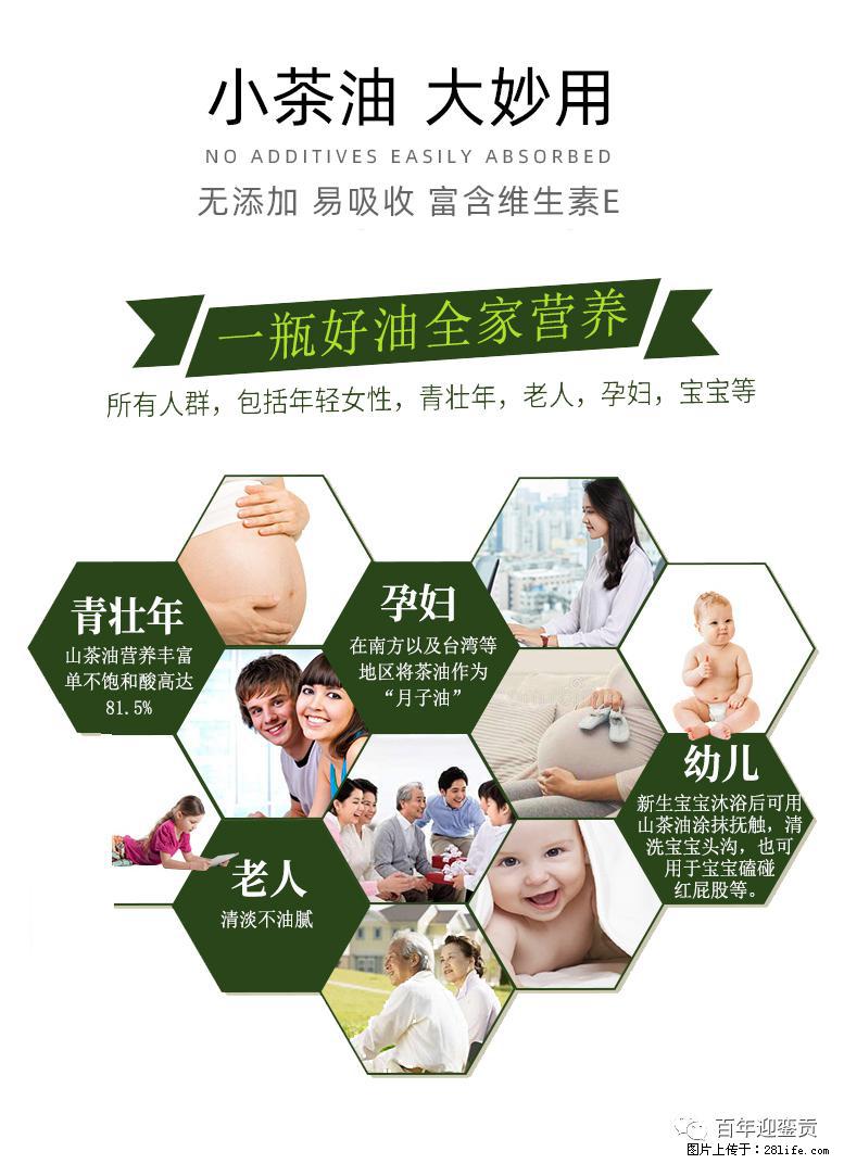 世界没有真相，只有认知，最好的食用油是中国的山茶油！ - 忻州生活资讯 - 忻州28生活网 xinzhou.28life.net