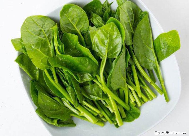 这些蔬菜是“天然钙片”，这6种被医生重点推荐 - 忻州生活资讯 - 忻州28生活网 xinzhou.28life.net